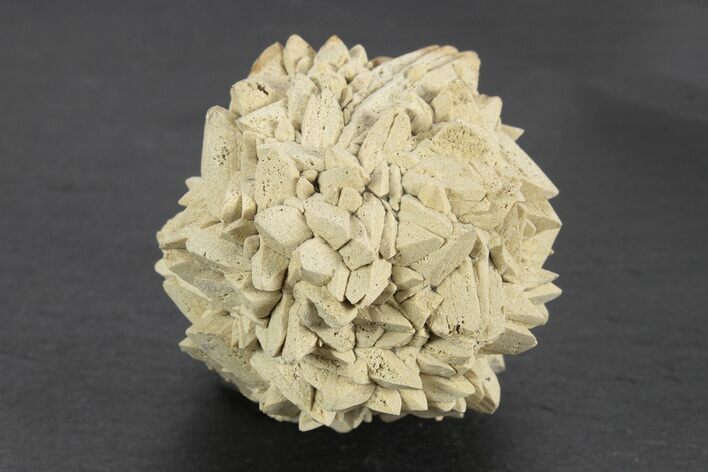 Stellate Glendonite (Calcite Pseudomorph) Cluster - Russia #247217